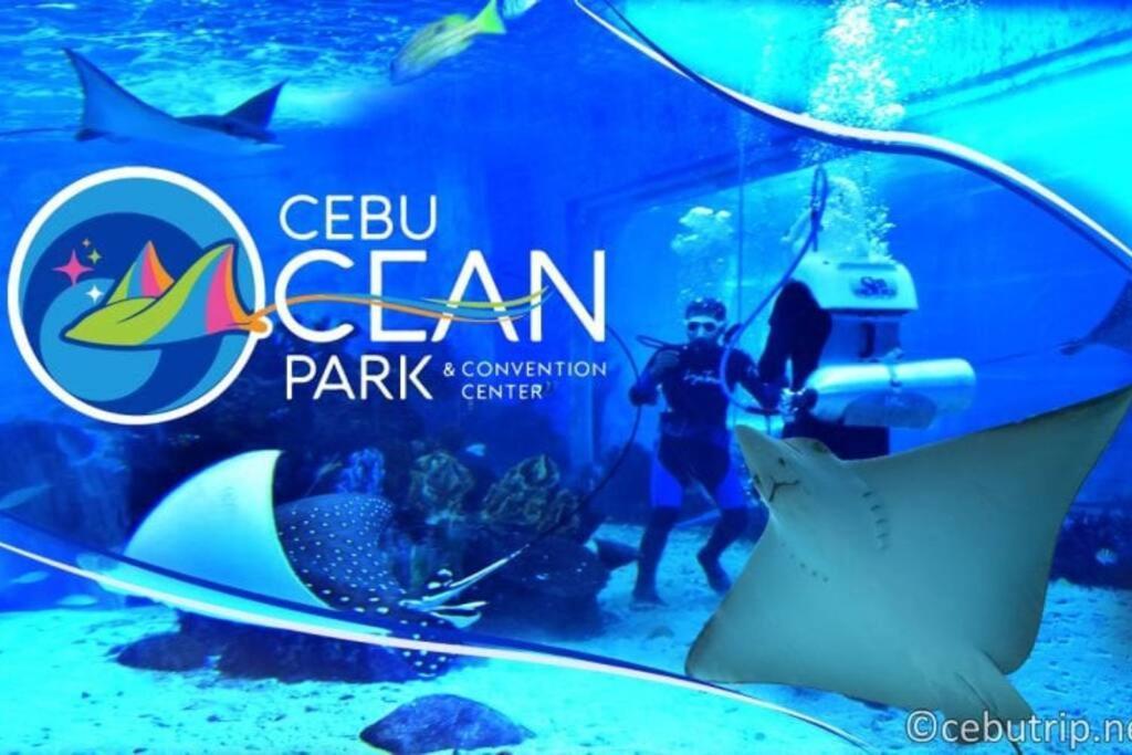 1708 Pool Gym Wi-fi With Netflix Near Ayala And It Park Cebu